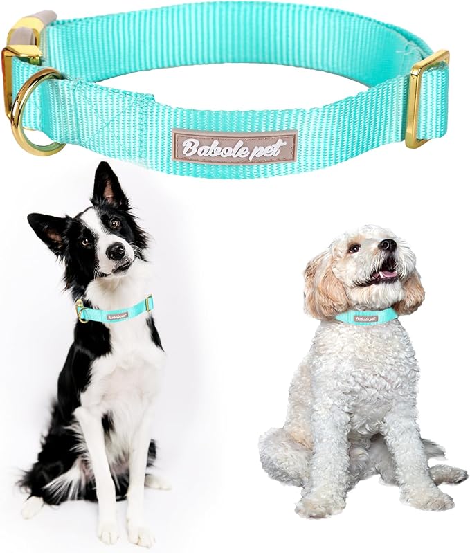 Nylon Dog Collar - Image 2