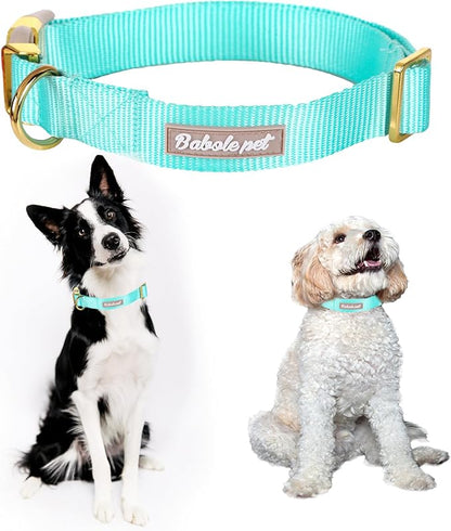 Nylon Dog Collar - Image 2