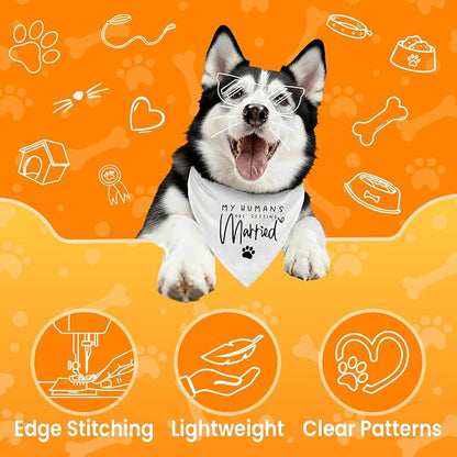 My Parents are Getting me a Human, Pregnancy Announcement Dog Bandana, Gender - Image 2