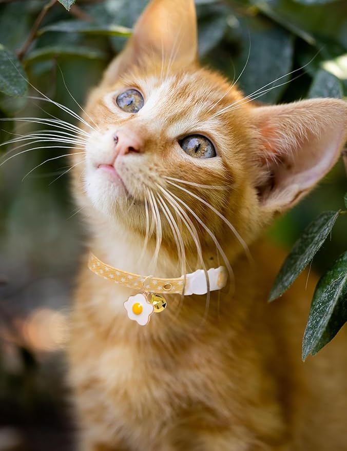 Cat Collar Breakaway with Bells, 3 Pack Safety Adjustable Pet Collars - Image 5