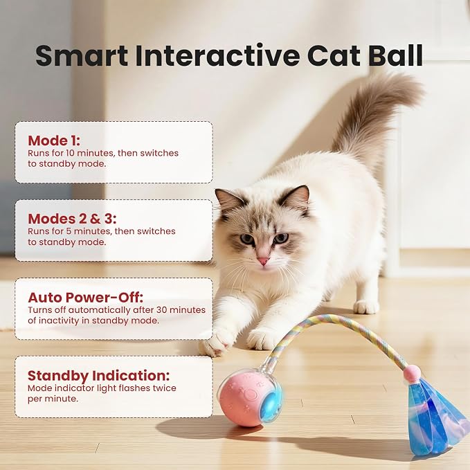 Rocfish Durable Interactive Cat Toys - Image 6