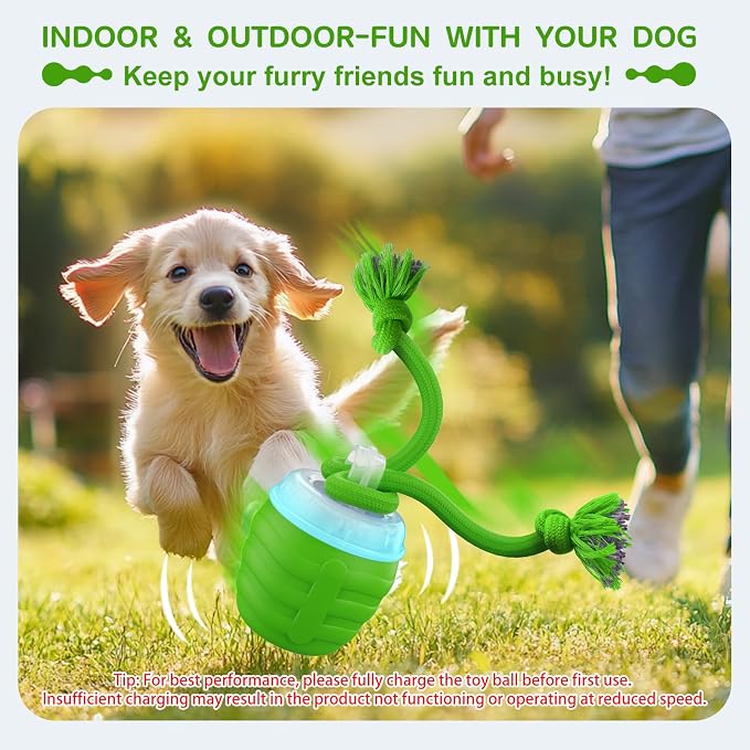 Interactive Dog Toy, Motion Activated Rolling Squeaky Ball - Image 2