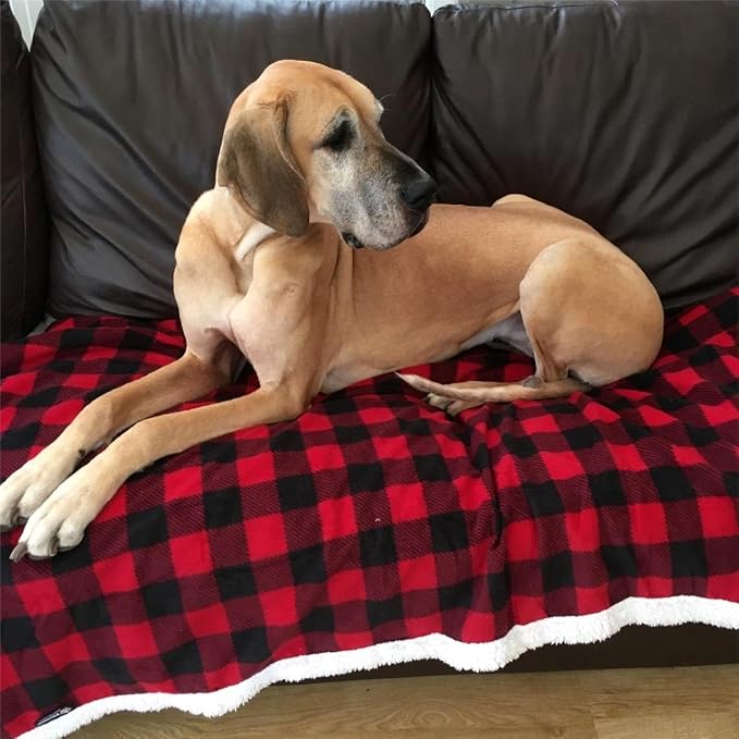 Kritter Planet Waterproof Dog Blanket, Reversible Water Proof Pet Blanket - Image 5
