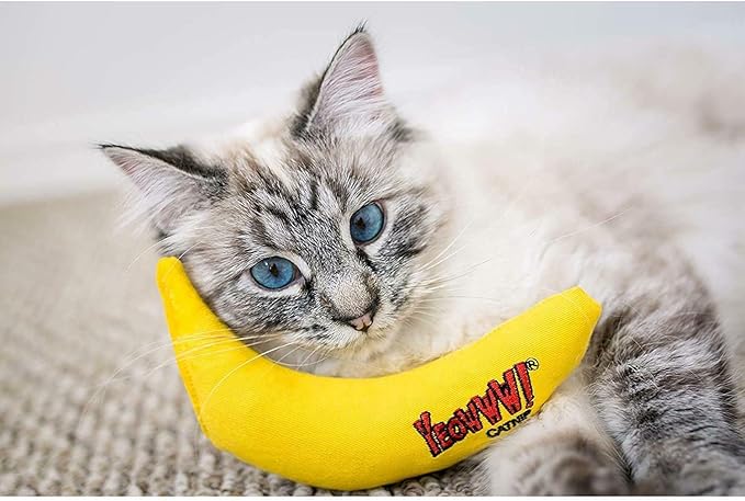 YEOWWW! DuckyWorld 100% ORGANIC CATNIP Leaf & Flower Cat Toy BANANA 3 PACK - Image 3