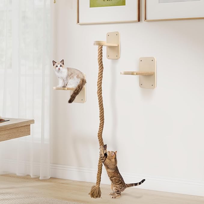 Cat Wall Shelves with 2 x 60 Inch Climbing Rope, Wall Mounted Cat Tree with - Image 7