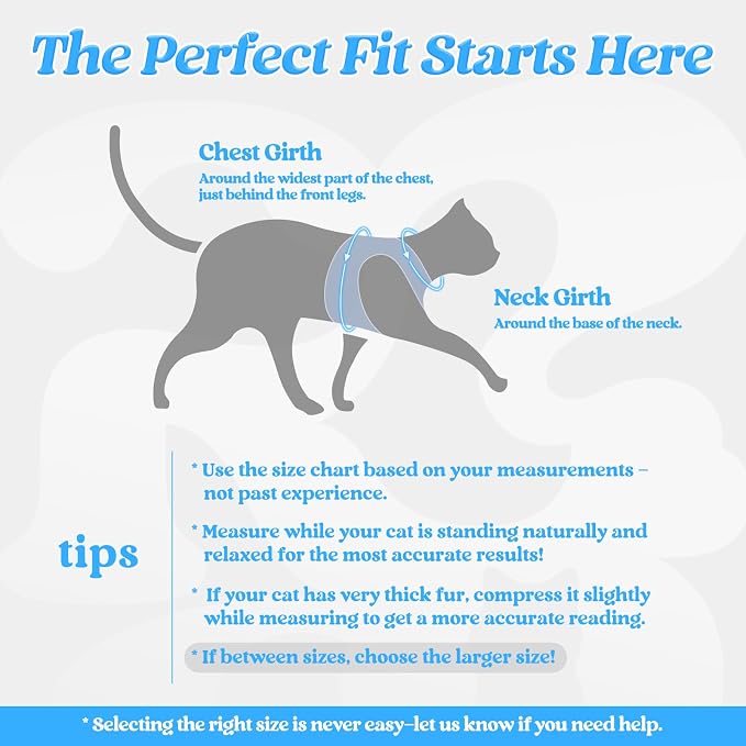 rabbitgoo Cat Harness and Leash Set - Image 2