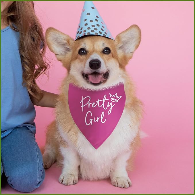 Pretty Girl Dog Bandana Funny Birthday Dog Bandana - Image 6