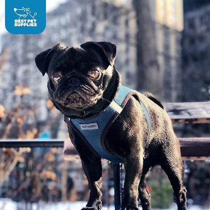 Best Pet Supplies Voyager Step-in Air Harness - Image 9
