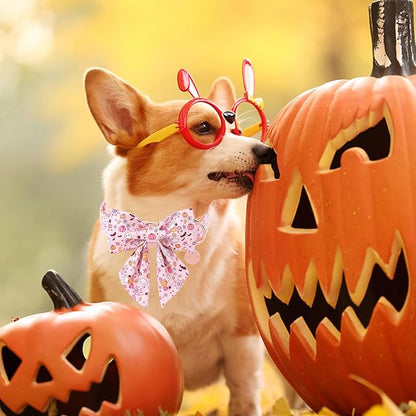 Halloween Dog Collar with Flower - Image 5