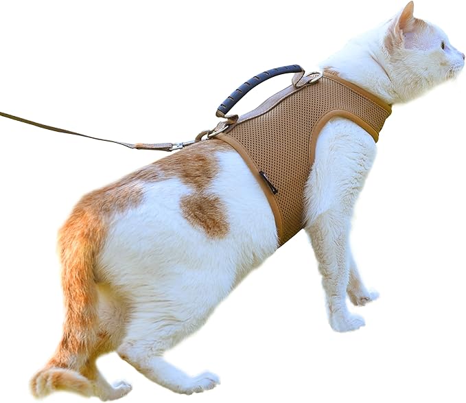 Cat Harness and Leash for Walking Escape Proof Breathable Mesh Fabric, Solid by Yizhi+Miaow