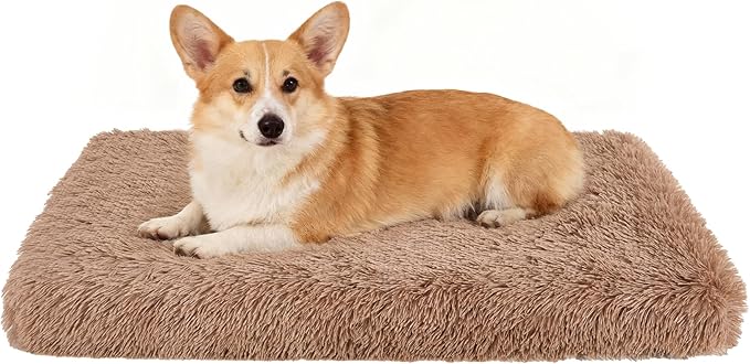 Fluffy Orthopedic Dog Beds for Medium Dogs by Kimpets