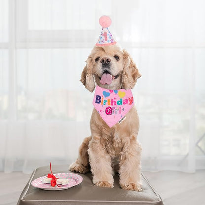 ADOGGYGO Dog Birthday Party Supplies - Image 2
