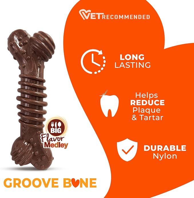 Nylabone Textured Dental Bone Power Chew Toy - Image 4