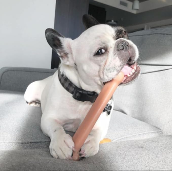 Nylabone Power Chew Classic Bone Chew Toy - Image 2