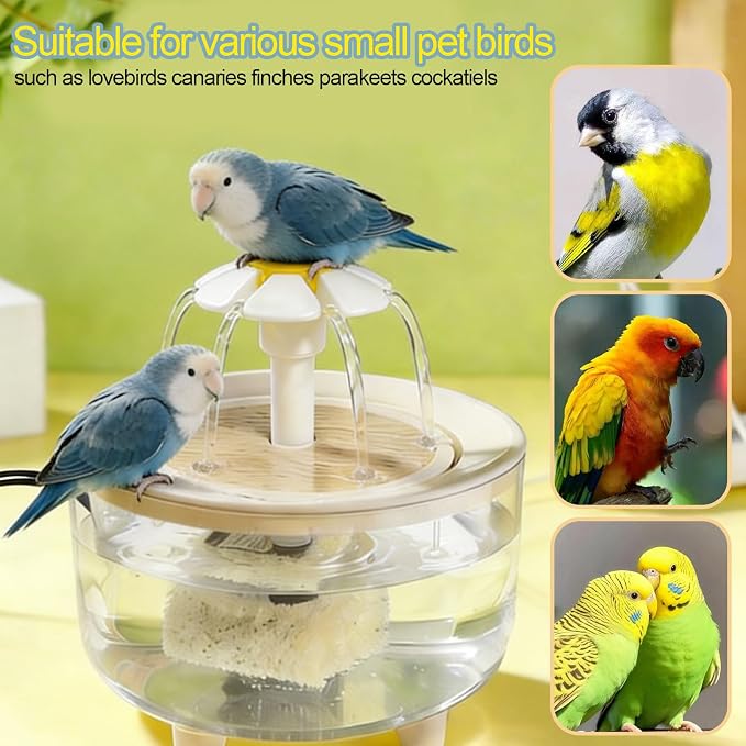 kathson Parrot Bathtub, Automatic Bird Bath Shower, Parakeet Bath Tub - Image 7