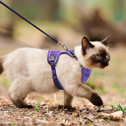 Cat Harness, Cat Harness and Leash - Image 5