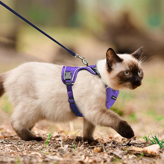 Cat Harness and Leash Set for Walking Escape Proof, Improved Four Place - Image 5