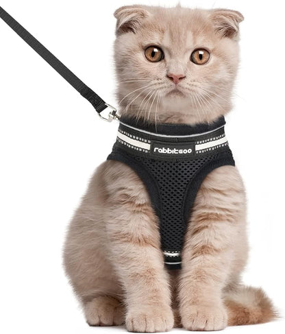 rabbitgoo Cat Harness and Leash Set by rabbitgoo