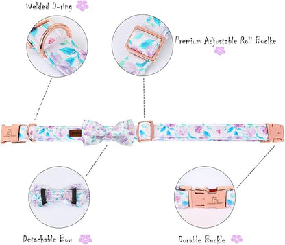 Lionheart glory Purple Dog Collar, Adjustable Dog Collar - Image 3