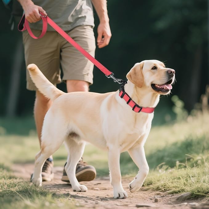 Joytale Reflective Dog Collar, Soft Neoprene Padded, Metal D-Ring, Nylon Pet - Image 6