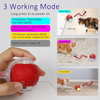 Interactive Cat Toys Ball for Indoor Cats Fast Rolling on Carpet, Chirping & - Image 4