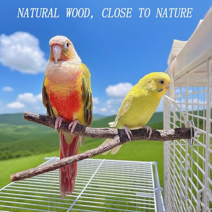8 PCS Natural Wood Bird Perches Stand - Image 7