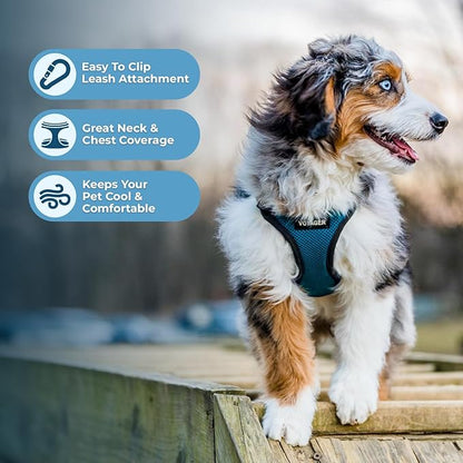 Voyager Step-in Pet Harness - Image 3