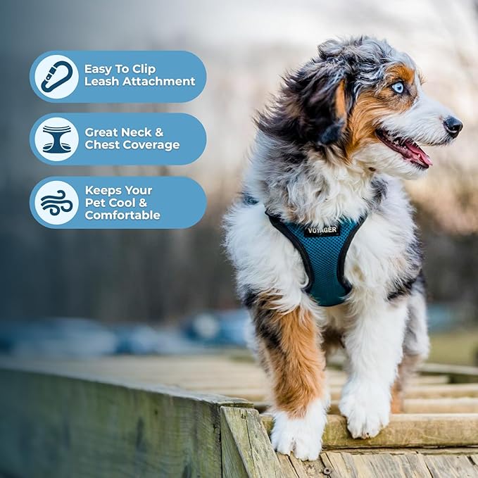 Voyager Step-in Pet Harness - Image 3