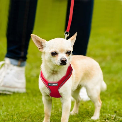 PetiFine Step in Small Dog Harness and Leash Set, Breathable All Weather Air - Image 8