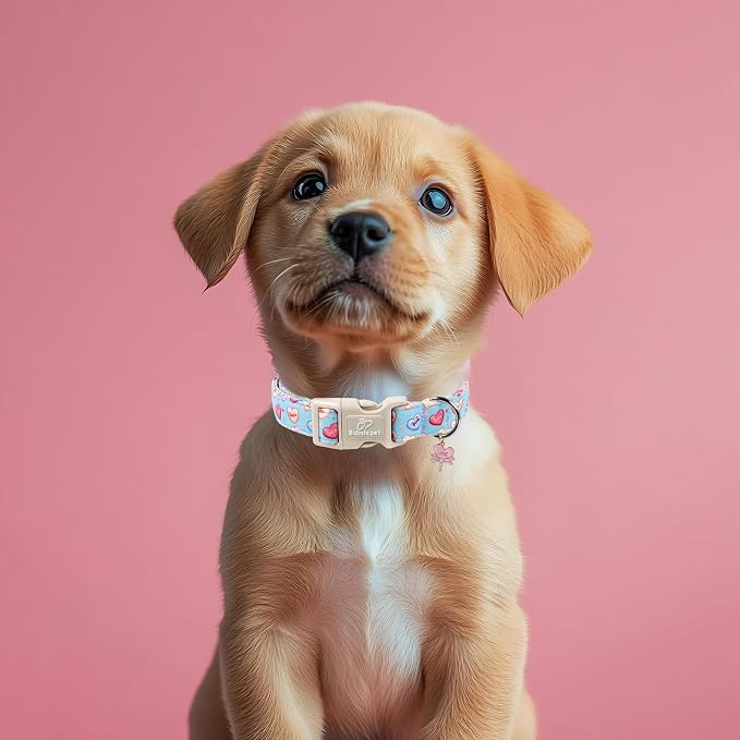 Valentines Dog Collar for Large Dogs - Image 7