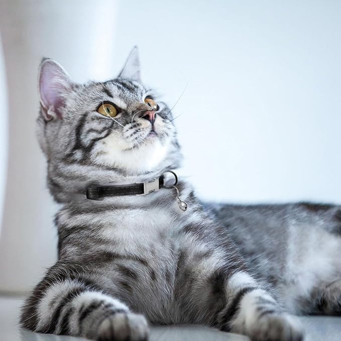 Leather Cat Collar with Buckle and Removable Bell - Image 6