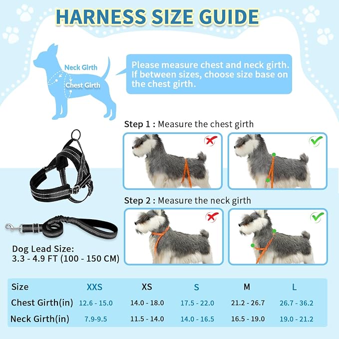 SlowTon No Pull Small Dog Harness and Leash Set, Puppy Soft Vest Harness Neck & - Image 5
