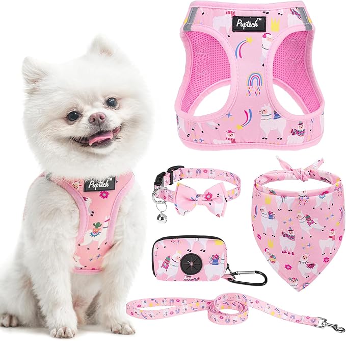 PUPTECK Adjustable Dog Harness Collar and Leash Set, Step in No Pull Pet Harness by PUPTECK