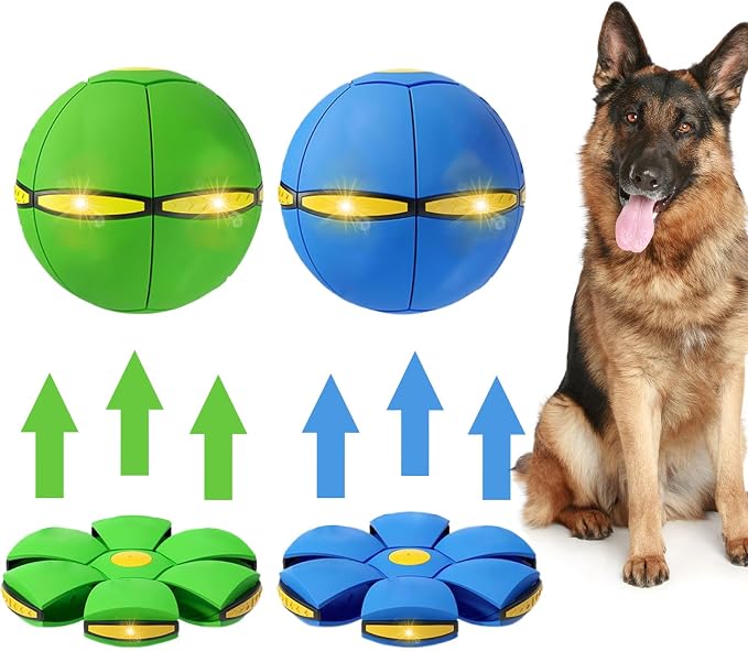 2PCS Dog Flying Disc Toy, Pet Toy Flying Saucer Ball by BADWALT