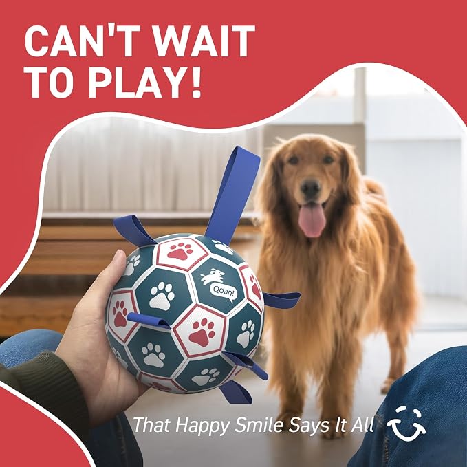 QDAN Large Dog Toys, 8 Inch Durable Balls - Image 9