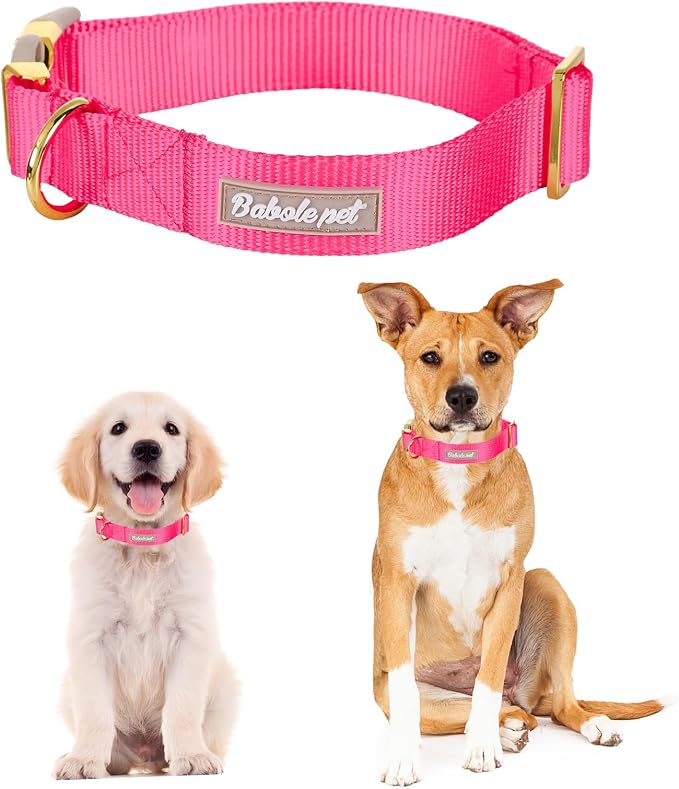 Nylon Dog Collar - Image 2