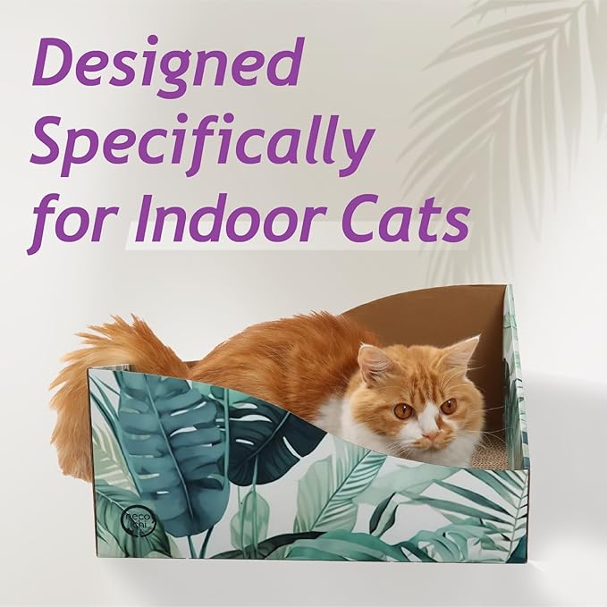Hideaway Cat Scratcher Box for Indoor Cats - Image 2