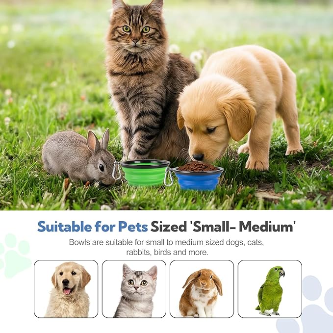 Collapsible Dog Bowls for Travel - Image 6