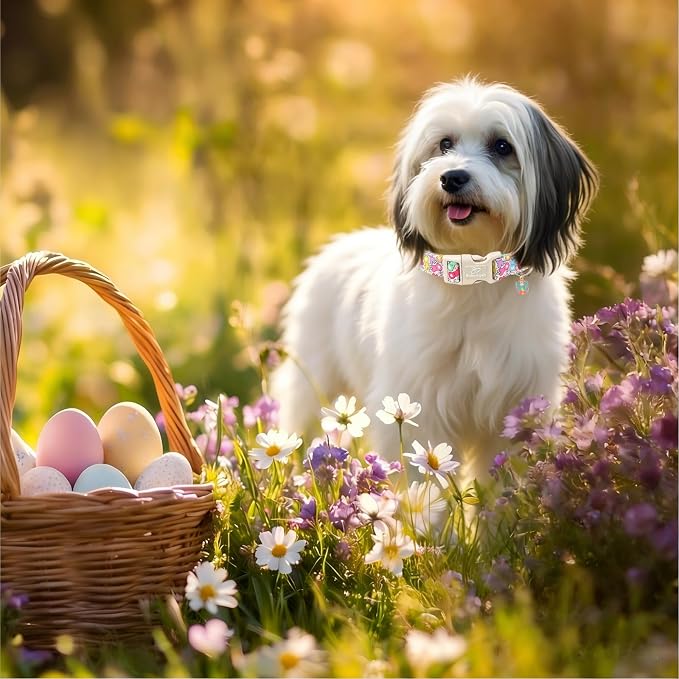 Easter Dog Collar for Giant Large Dogs - Image 5