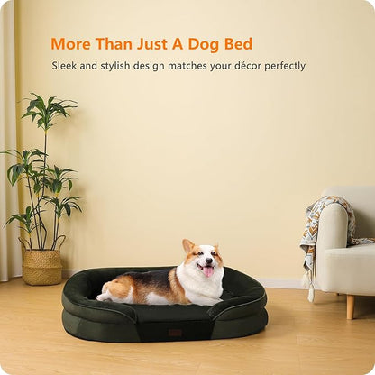Dwanton Orthopedic Dog Bed for Medium Dogs - Image 9