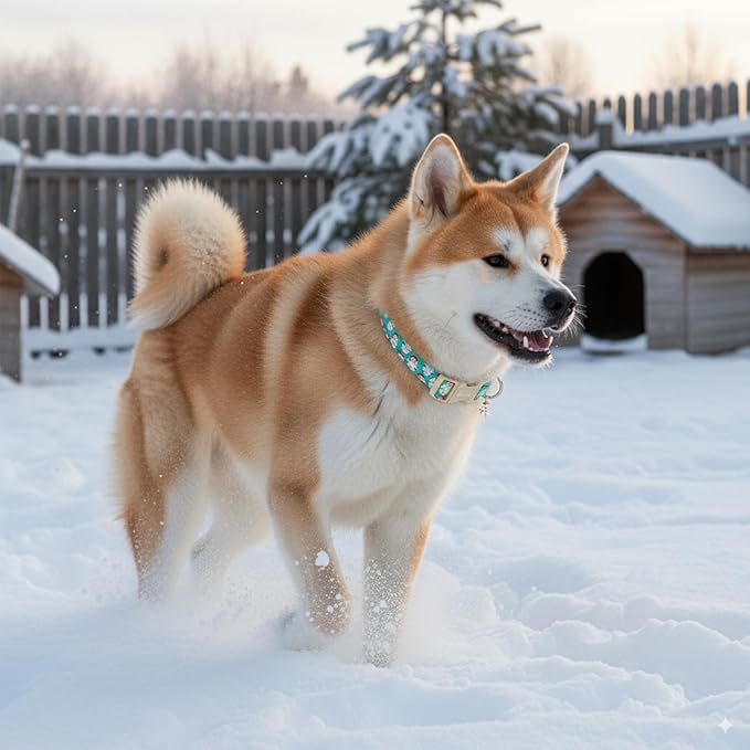 Christmas Dog Collar，Soft Cotton Dog Collars - Image 5