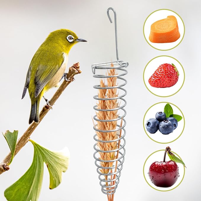 5Pcs Bird Cage Food Bowl Set, Stainless Steel Millet Holder - Image 5