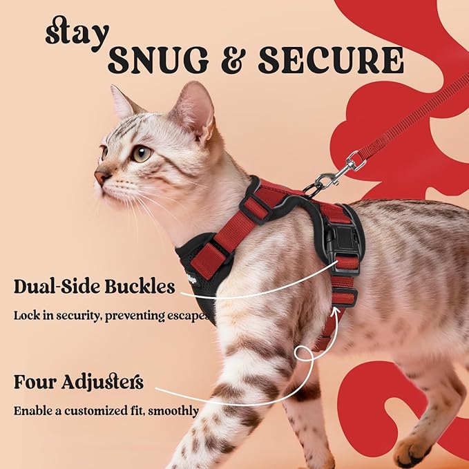 rabbitgoo Cat Harness and Leash - Image 6