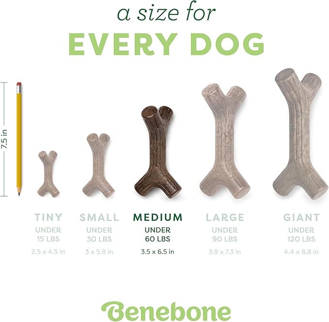 Benebone Maplestick Real Wood Durable Dog Chew Toy, Made in USA - Image 4