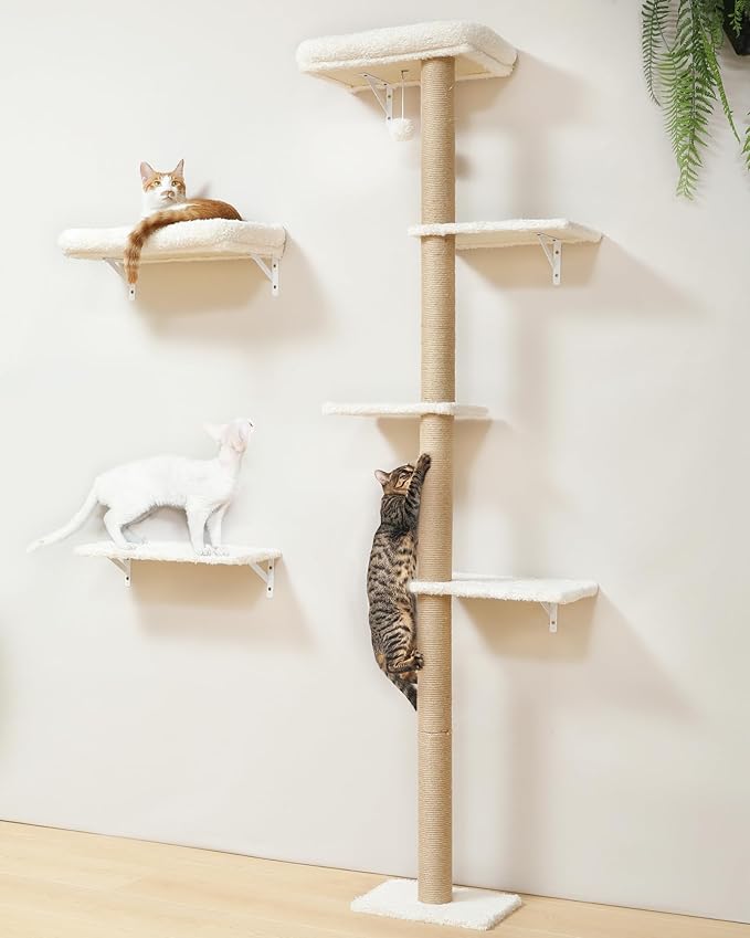 FUKUMARU Cat Wall Shelves, Stable Wall Mounted Cats Furniture Set, Kitten by FUKUMARU
