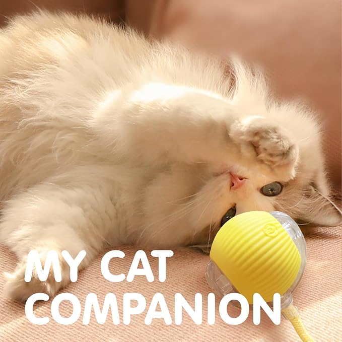 Rocfish Durable Interactive Cat Toys - Image 8