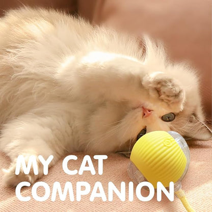 Rocfish Durable Interactive Cat Toys - Image 8