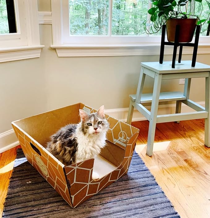 Cats Desire Disposable Litter Box No Plastic Solution w/ Low Entry & Enclosed - Image 2