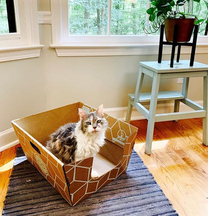 Cats Desire Disposable Litter Box No Plastic Solution w/ Low Entry & Enclosed - Image 2