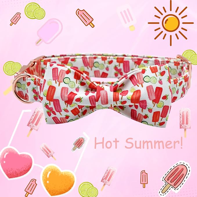 Lionheart glory Dog Collar, Dog Collar - Image 3
